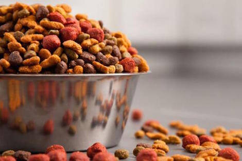Top 10 Best Rated Dry Dog Food Brands (2023)