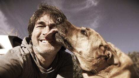 Can you catch a hidden virus from a dog kiss?